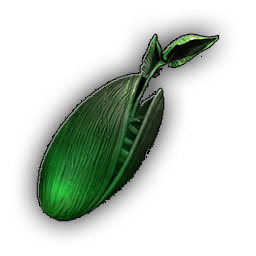 Exotic Seed
